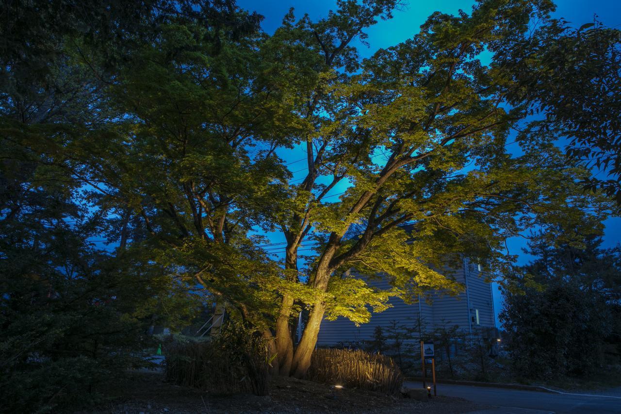 Villa Yushin Fujikawaguchiko Dış mekan fotoğraf